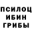 Галлюциногенные грибы прущие грибы Rumjana Skrljac