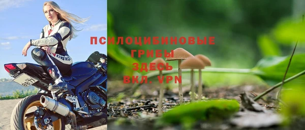 mdpv Горнозаводск