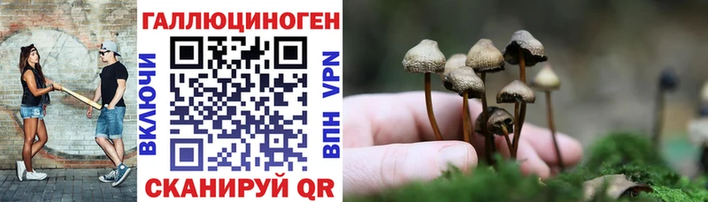 купить цена Горняк Галлюциногенные грибы мицелий